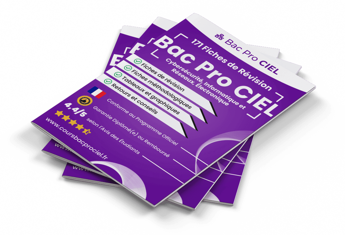 171 Fiches de Révision pour le Bac Pro CIEL